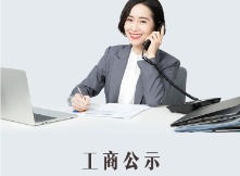 工商公示