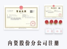 内资股份分公司注册